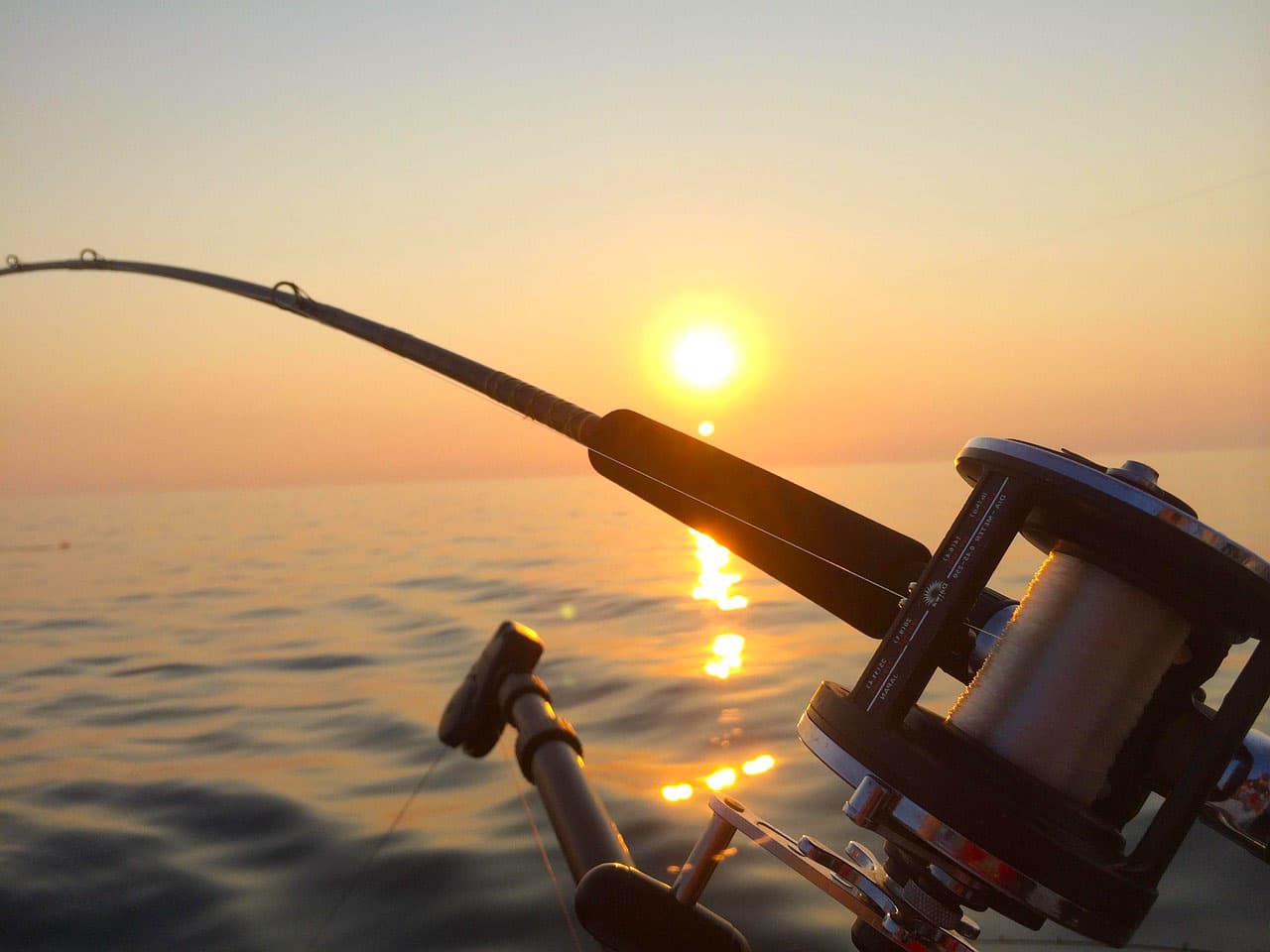 🎣 Самоподсекающиеся Удочки: Как Ловить Рыбу Пока Вы Спите, Жарите Шашлык или Спасетесь от Комаров! (…или Почему Одни Вытаскивают Трофеи Руками в Сале, а Другие Теряют Добычу из-за Запоздалой Подсечки!)