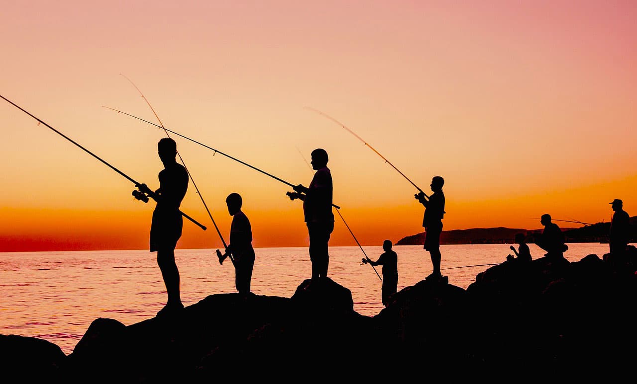 🎣 Russian Fishing Trout Trophy 2025: Форелевая симфония на берегах Невы